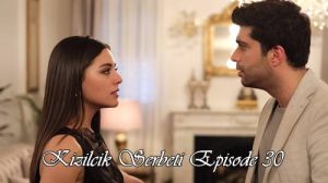 Kızılcık Şerbeti (The Cranberry Sherbet) Episode 30